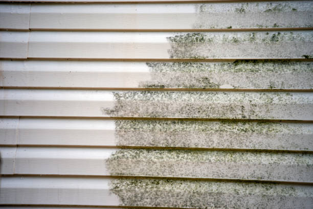 Best Shed Removal  in Syracuse, NY
