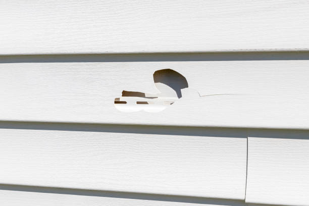Best Hoarding Cleanup  in Syracuse, NY